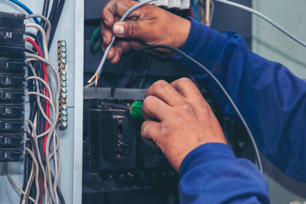 Best Electric Panel Repair  in Laguna Woods, CA